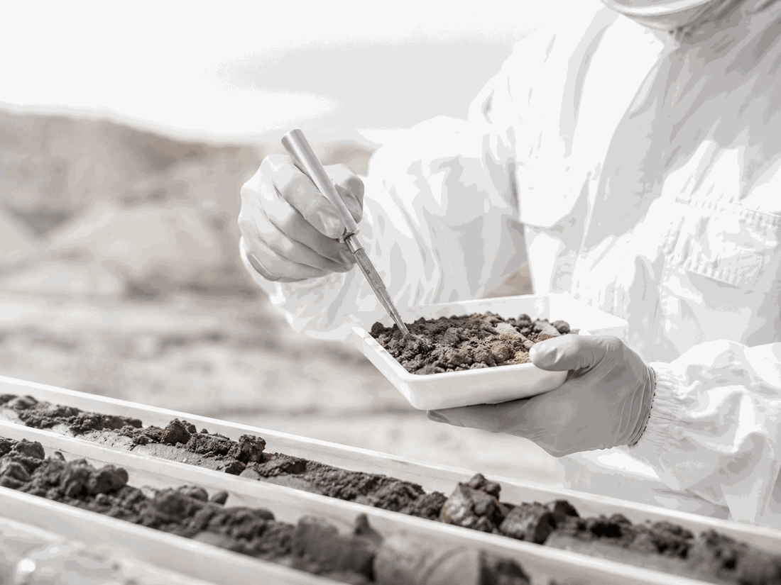 In Situ Soil Remediation