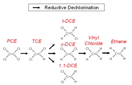 Sequential reductive dechlorination of PCE to TCE to DCE to vinyl chloride to ethene