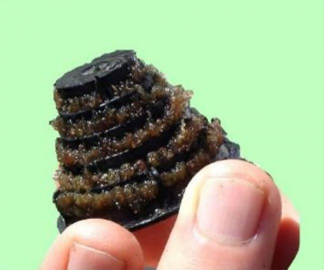 zebra mussel sprinklers