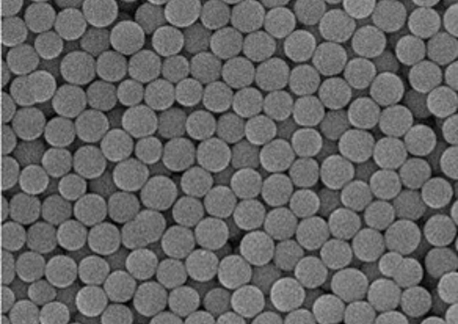 Herpuresorb - Typical 4 micron diameter